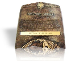 Acantus Aureus 2011