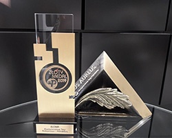 Złoty Medal Targów Budma 2019