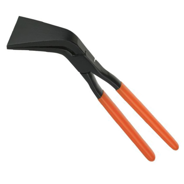 Picard's roofing ticks
